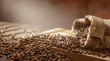 Ethically Sourced Coffee – What Does It Mean?